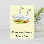 Gänse: Stift Einladung (Stehend Vorderseite)