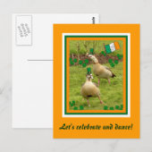Gänse tanzen ein bisschen irisch postkarte (Vorne/Hinten)