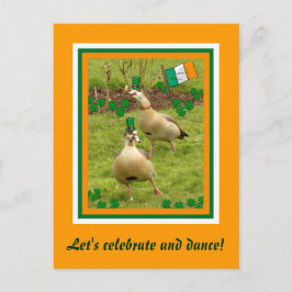 Gänse tanzen ein bisschen irisch postkarte