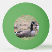 Gänse Tischtennisball (Rückseite)