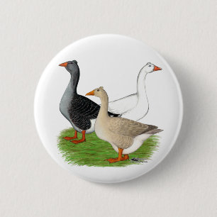 Gänse:  Tufted Trio Button