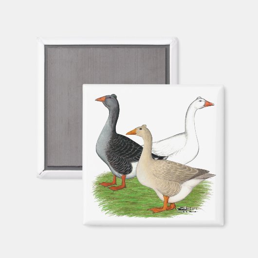 Gänse: Tufted Trio Magnet (Vorderseite/Rückseite)