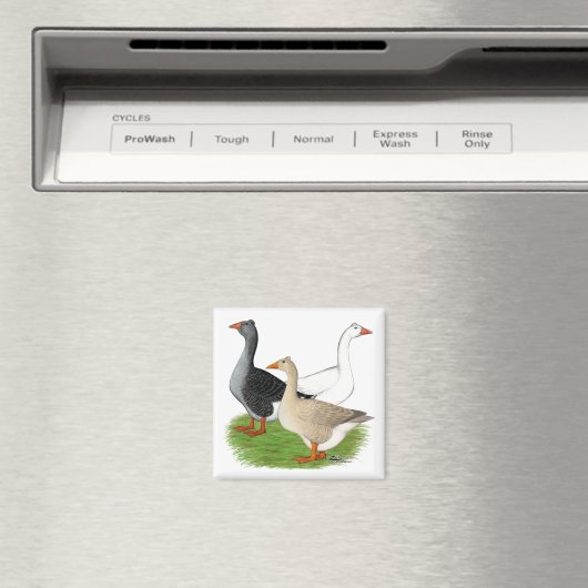 Gänse: Tufted Trio Magnet (In Situ (Geschirrspüler))