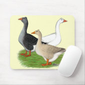 Gänse: Tufted Trio Mousepad (Mit Mouse)