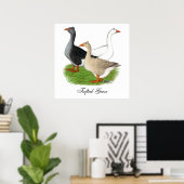 Gänse: Tufted Trio Poster (Heimbüro)