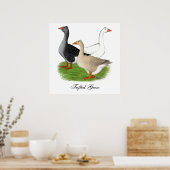 Gänse: Tufted Trio Poster (Küche)