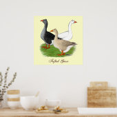 Gänse: Tufted Trio Poster (Küche)