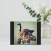Gänse und Babys Postkarte (Stehend Vorderseite)