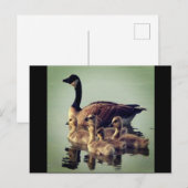Gänse und Babys Postkarte (Vorne/Hinten)