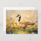 Gänse und Goslings Frühling Postkarte (Vorne/Hinten)