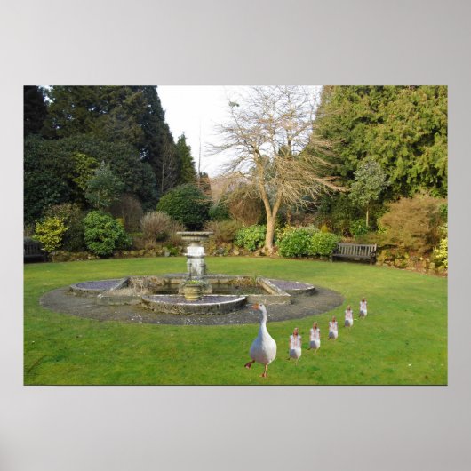 Gänse- und Goslings-Marching Poster (Vorne)