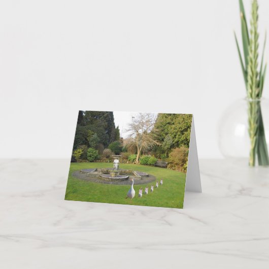 Gänse und Goslings täglich Karte (Vorderseite)