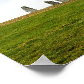 Gänse und Goslings täglich Poster (Ecke)