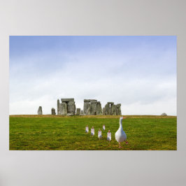 Gänse und Goslings täglich Poster