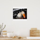 Gänse und Koots Poster (Küche)
