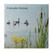 Gänse und Schwänze aus Kanada Fliese (Vorderseite)