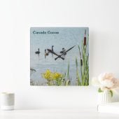 Gänse und Schwänze aus Kanada Quadratische Wanduhr (Zuhause)