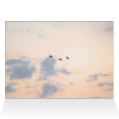 Gänse und weiche Sonnenuntergänge (Innenansicht Horizontal (Oben))