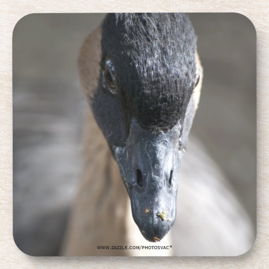 Gänse Untersetzer (Vorderseite)