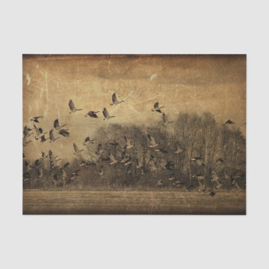 Gänse Vintag-Antique-Sepia-Textur Seidenpapier (Vorderseite)