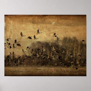 Gänse Vintage Antik Sepia Wildtier Textur Poster
