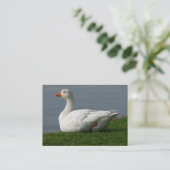 Gänse Visitenkarte (Stehend Vorderseite)