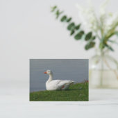 Gänse Visitenkarte (Stehend Vorderseite)