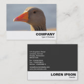 Gänse Visitenkarte (Vorne/Hinten)