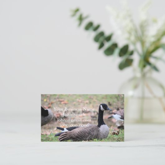 Gänse Visitenkarte (Stehend Vorderseite)