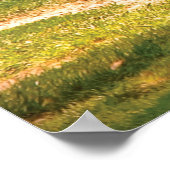 Gänse - Vögel einer Feder Poster (Ecke)