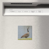 Gänse von Pond Magnet (In Situ (Geschirrspüler))