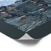 Gänse von Waterfall Foto Poster (Ecke)