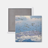 Gänse während der Frühjahrswanderung Magnet (Vorderseite/Rückseite)