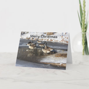 Gänse Warten Feiertagskarte