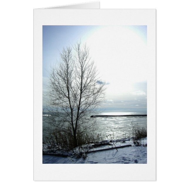 Gänseblümchen (Vorne)