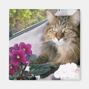 Gänseblümchen 4 magnet