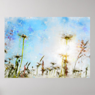 Gänseblümchen  -     - Acryldruck Poster