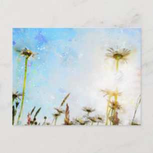 Gänseblümchen  -     - Acryldruck Postkarte