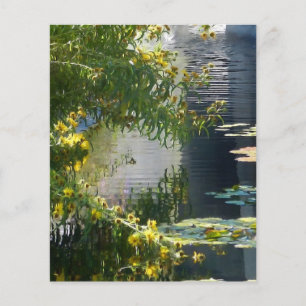 Gänseblümchen am Teich