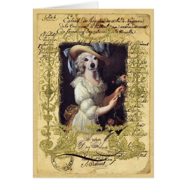 Gänseblümchen Antoinette (Vorne)