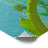 Gänseblümchen auf blauem Hintergrund Poster (Ecke)
