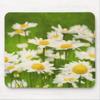 Gänseblümchen auf einer grünen Wiese Mousepad