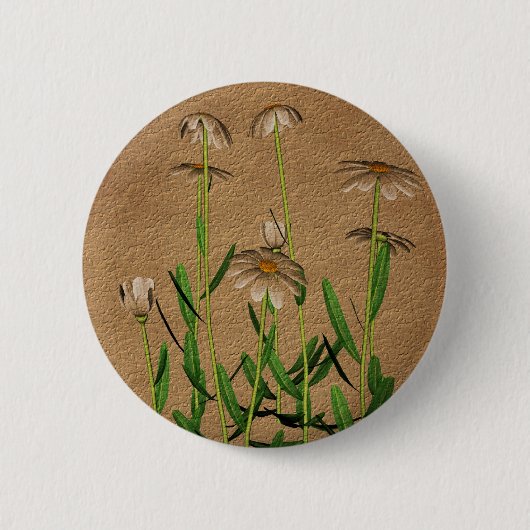 Gänseblümchen auf gealtertem Papierblumen Button (Vorderseite)