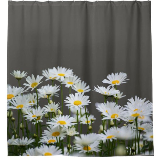 Gänseblümchen auf Grau Duschvorhang (Vorderseite)