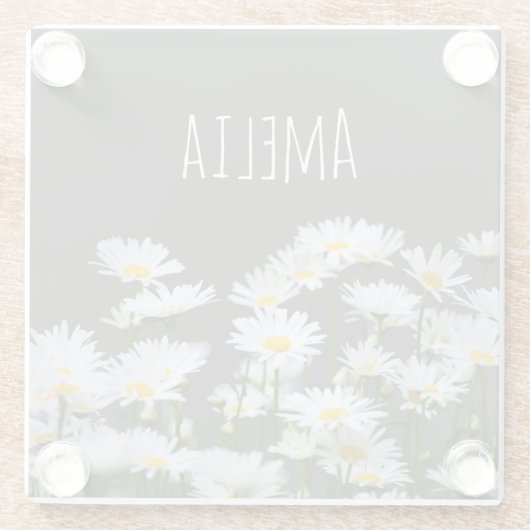 Gänseblümchen auf Grau Glasuntersetzer (Rückseite)