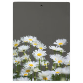 Gänseblümchen auf Grau Personalisiert Klemmbrett (Rückseite)