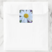 Gänseblümchen-Aufkleber Quadratischer Aufkleber (Tasche)