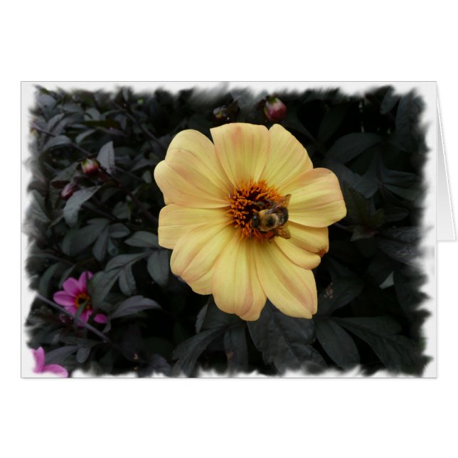 Gänseblümchen-Bienenkarte (Vorderseite (Horizontal))