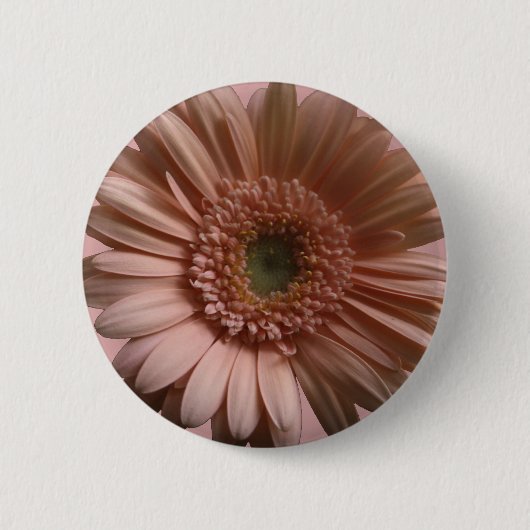 Gänseblümchen-Blume Button (Vorderseite)