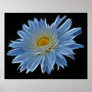 Gänseblümchen-Blume Poster